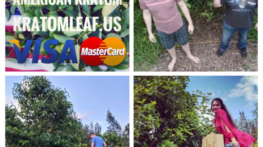 American Kratom Nursery With American Flag and tree and people with visa mastercard logo